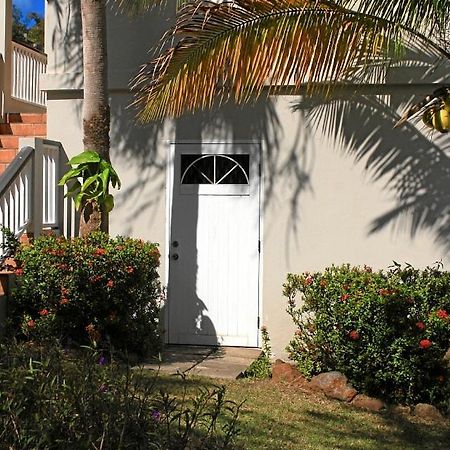 Cosynest Apartment Basseterre Exterior photo