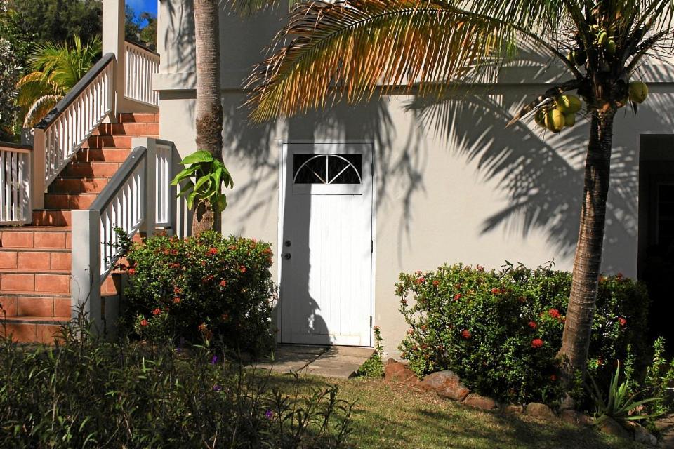 Cosynest Apartment Basseterre Exterior photo